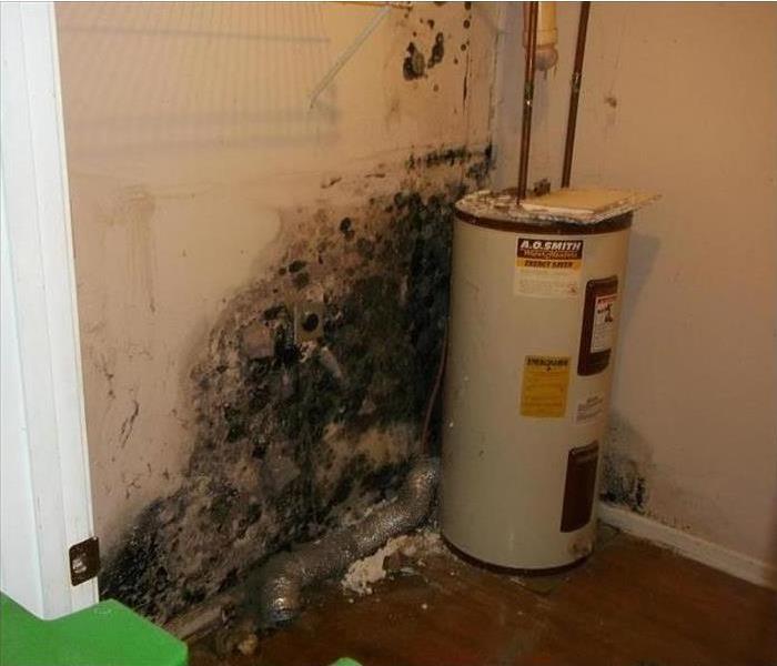mold stained walls and flooring by a water heater