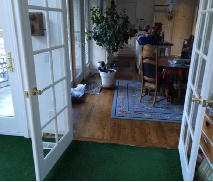 open french doors, dry green carpet and hardwood flooring