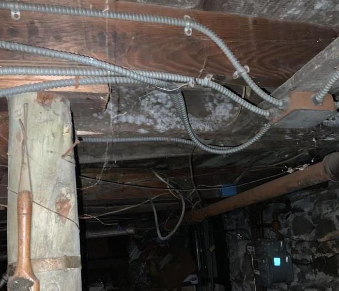 Accumulation of mold in an Everett basement