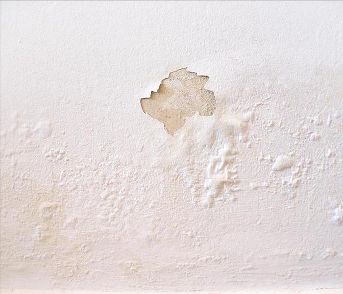 peeling paint on wall from moisture